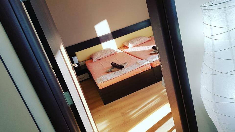 Апартамент Cacao Residence Slăntjev Brjag Exteriör bild